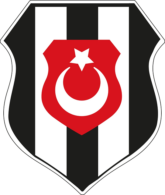 Beşiktaş JK