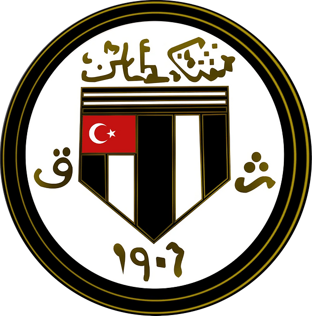 Beşiktaş JK