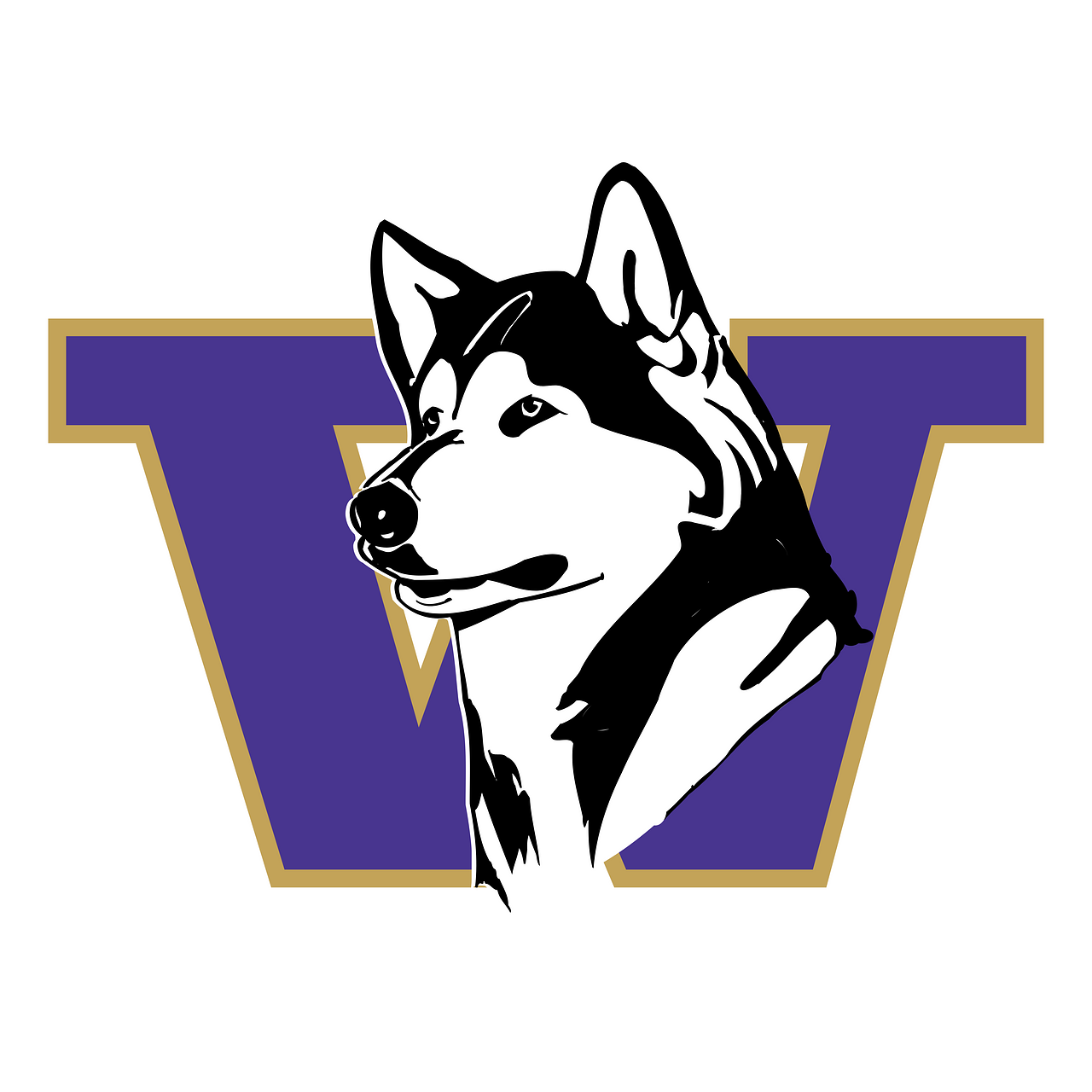 Washington Huskies