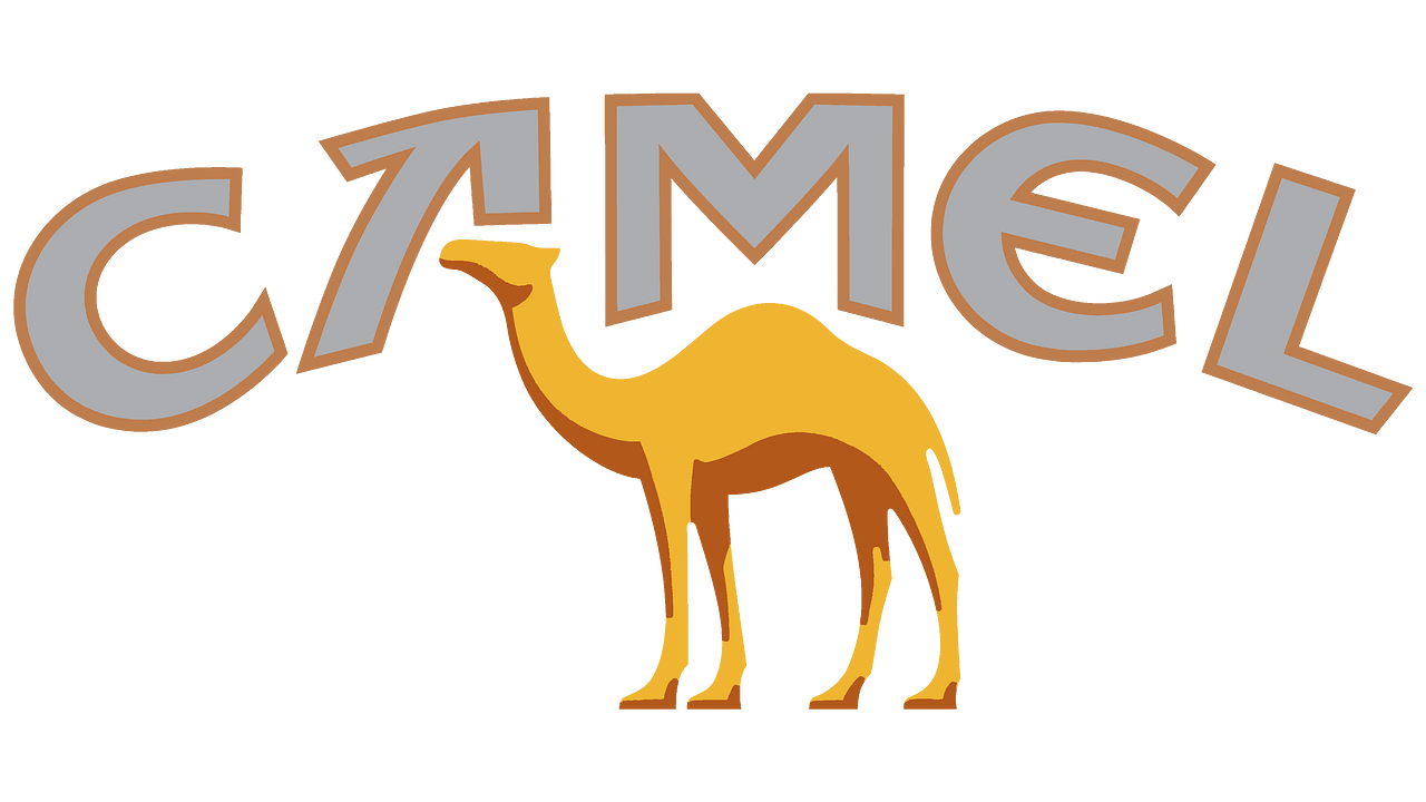 Camel