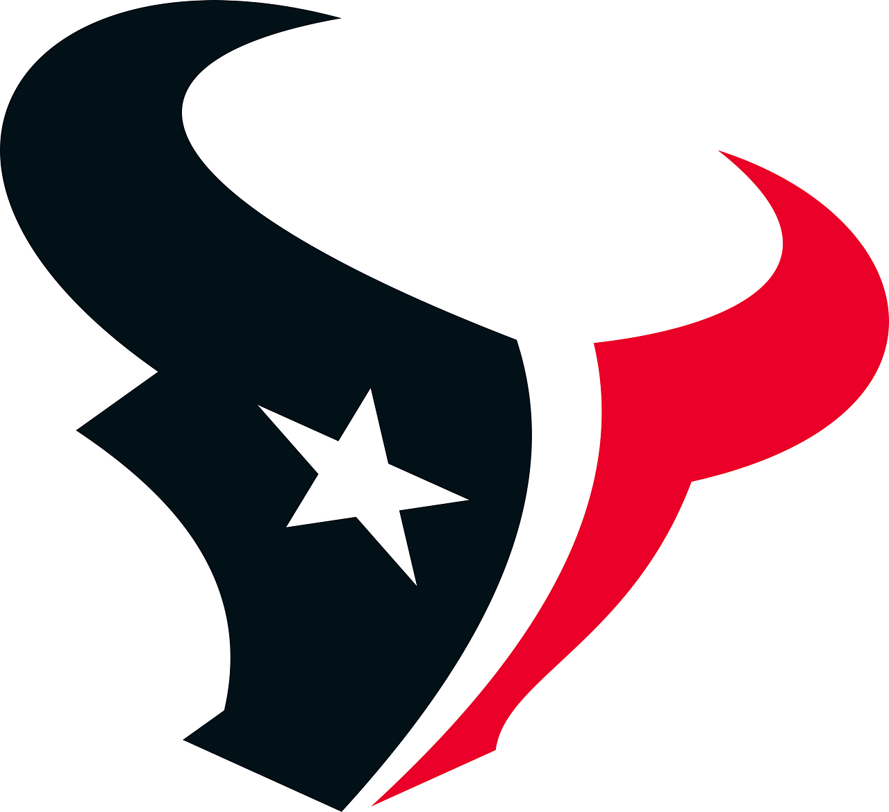 Houston Texans