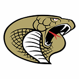 Carolina Cobras