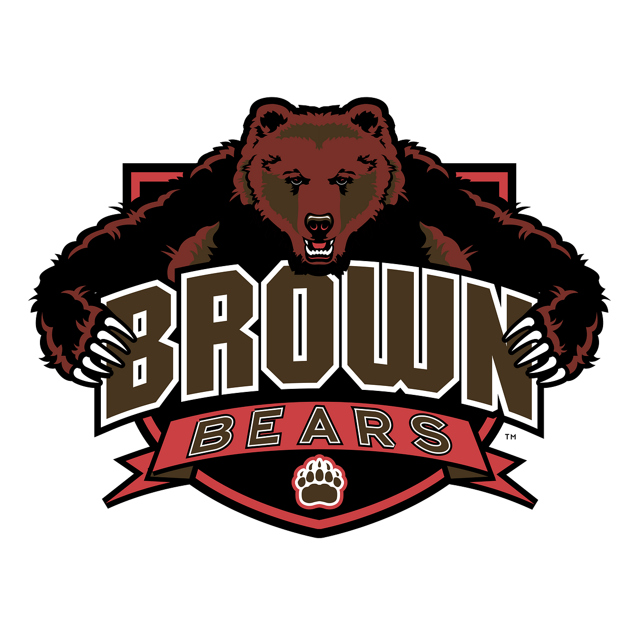 Brown Bears