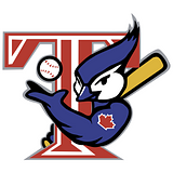 Toronto Blue Jays