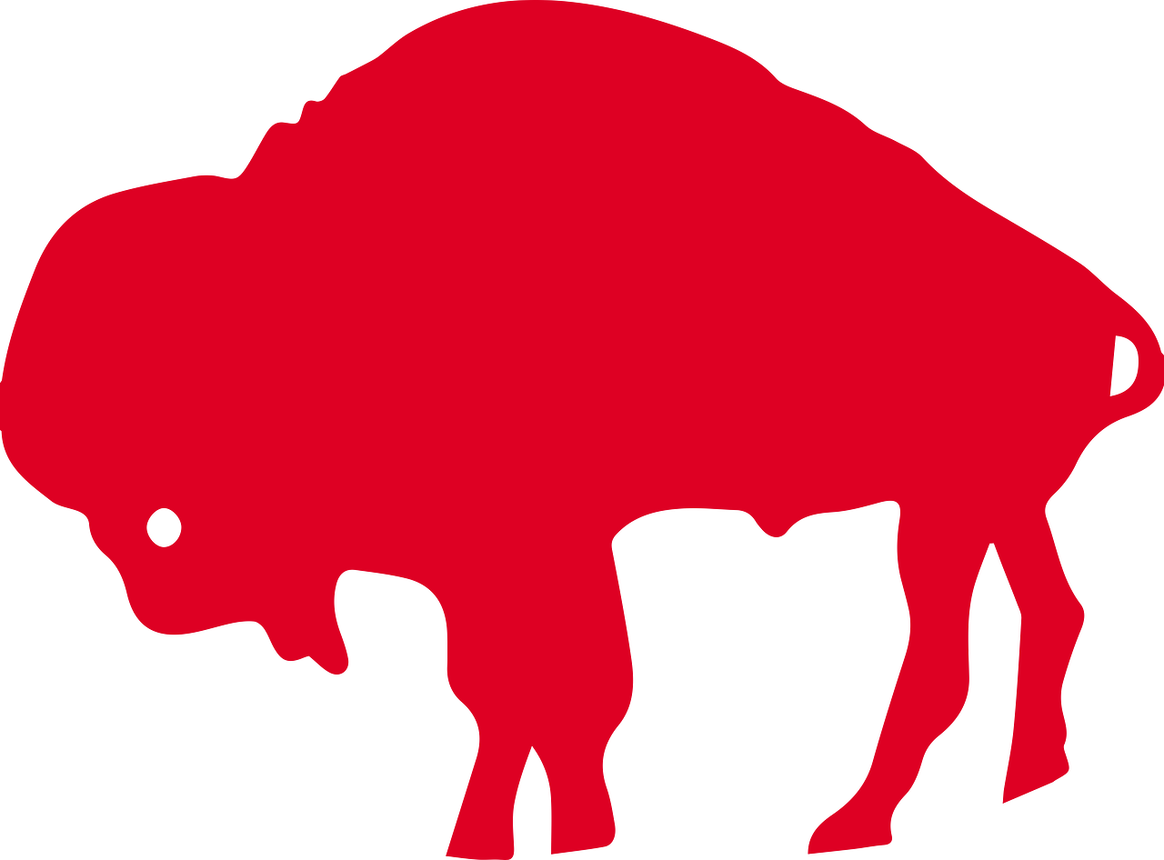 Buffalo Bills