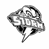 Lake Elsinore Storm