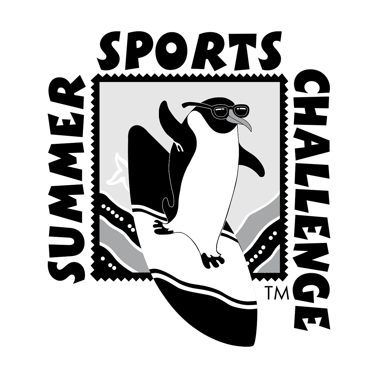 Summer Sports Challenge