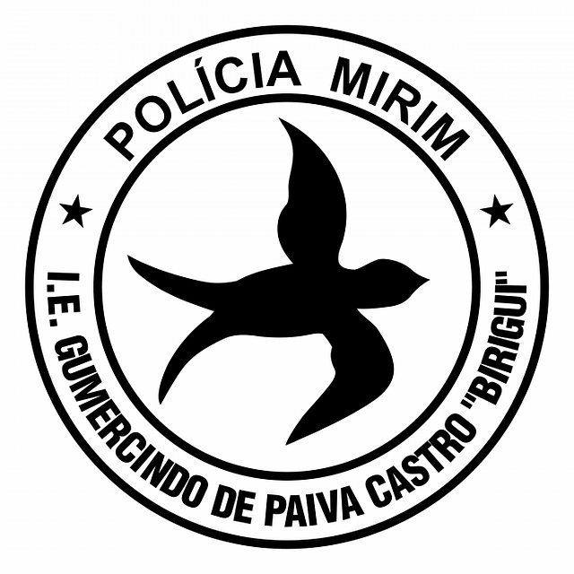Policia Mirim