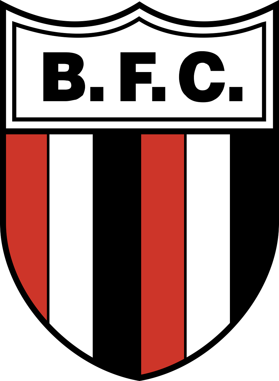Botafogo Futebol Clube (Ribeirão Preto)