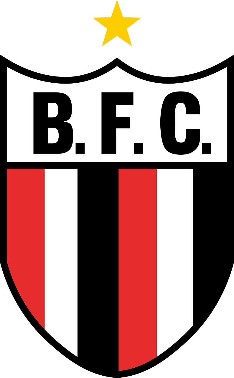 Botafogo Futebol Clube (Ribeirão Preto)