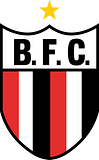 Botafogo Futebol Clube (Ribeirão Preto)