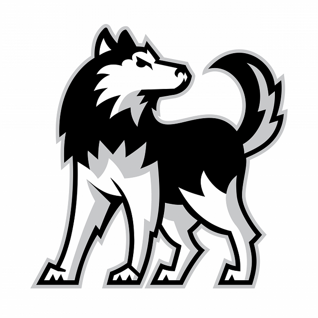 NIU Huskies