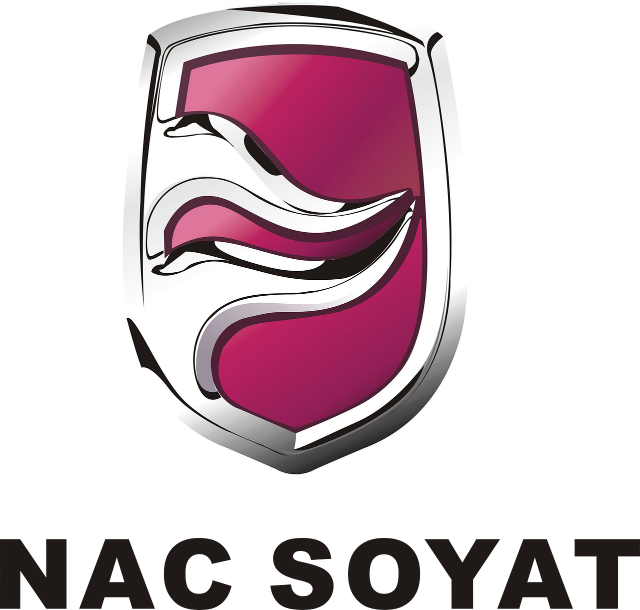 NAC Soyat Auto Company