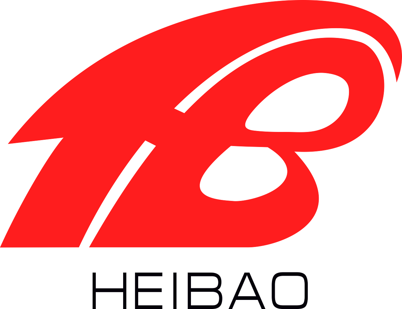 Shandong HIPO Group Co