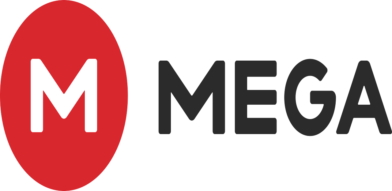 MEGA Encrypted Global Access