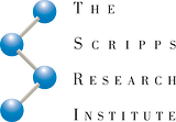 The Scripps Research Institute