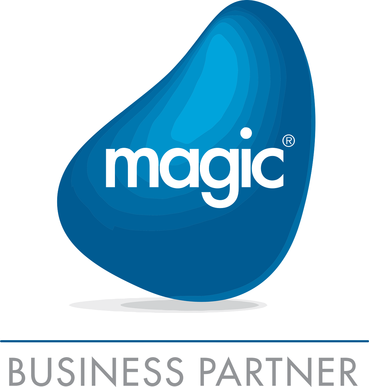 Magic Software