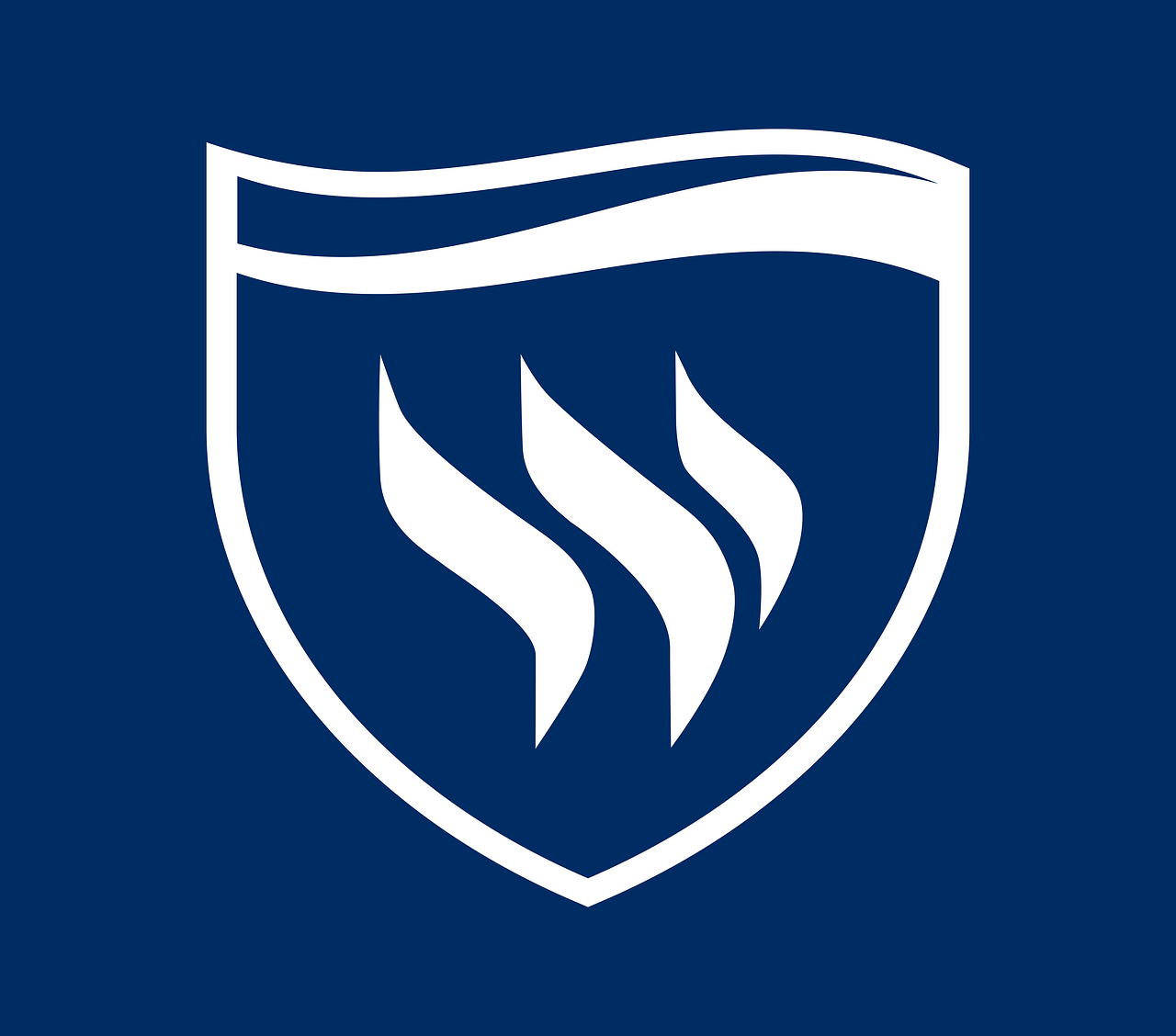 Texas Wesleyan University