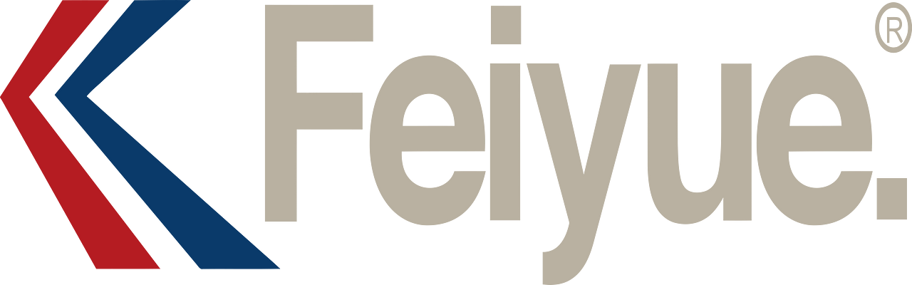 Feiyue