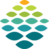 Northern Light Health