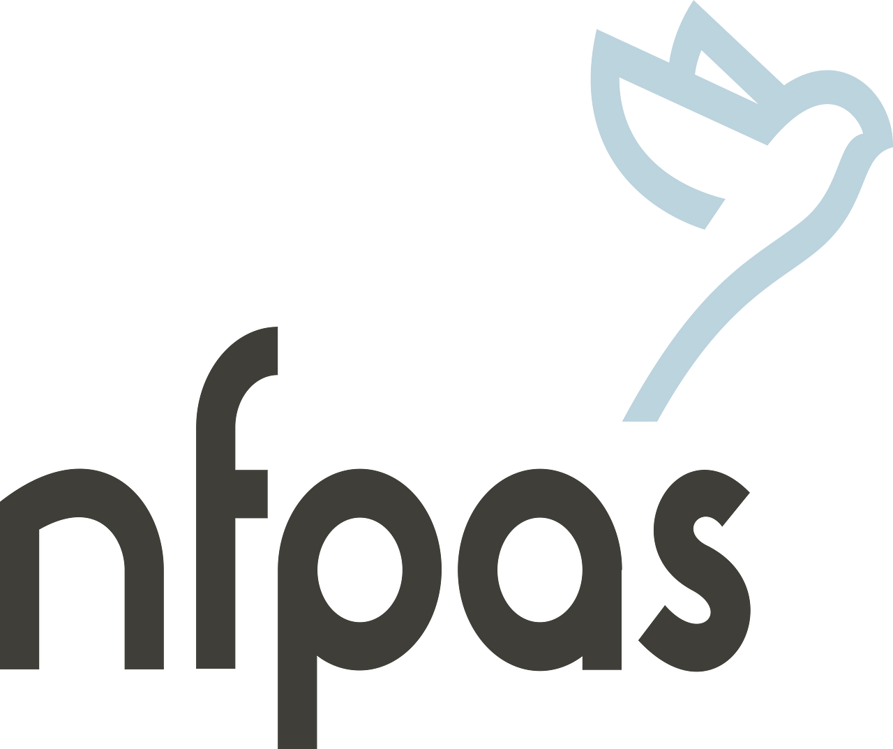 Not For Profit Accounting Specialists