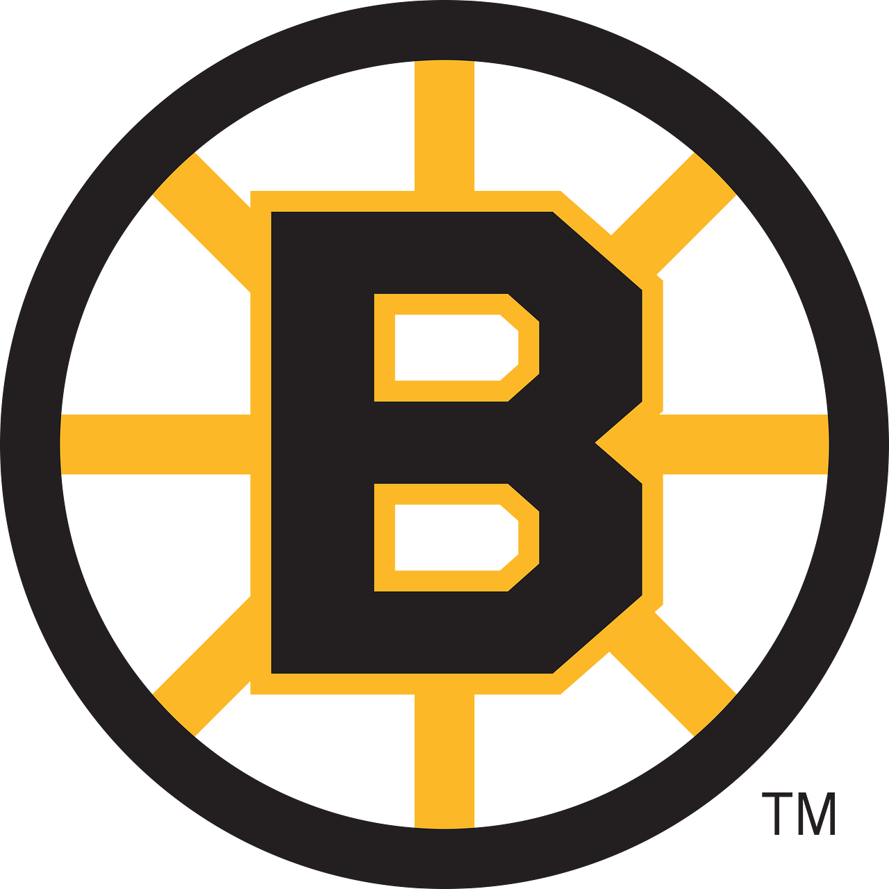 Boston Bruins