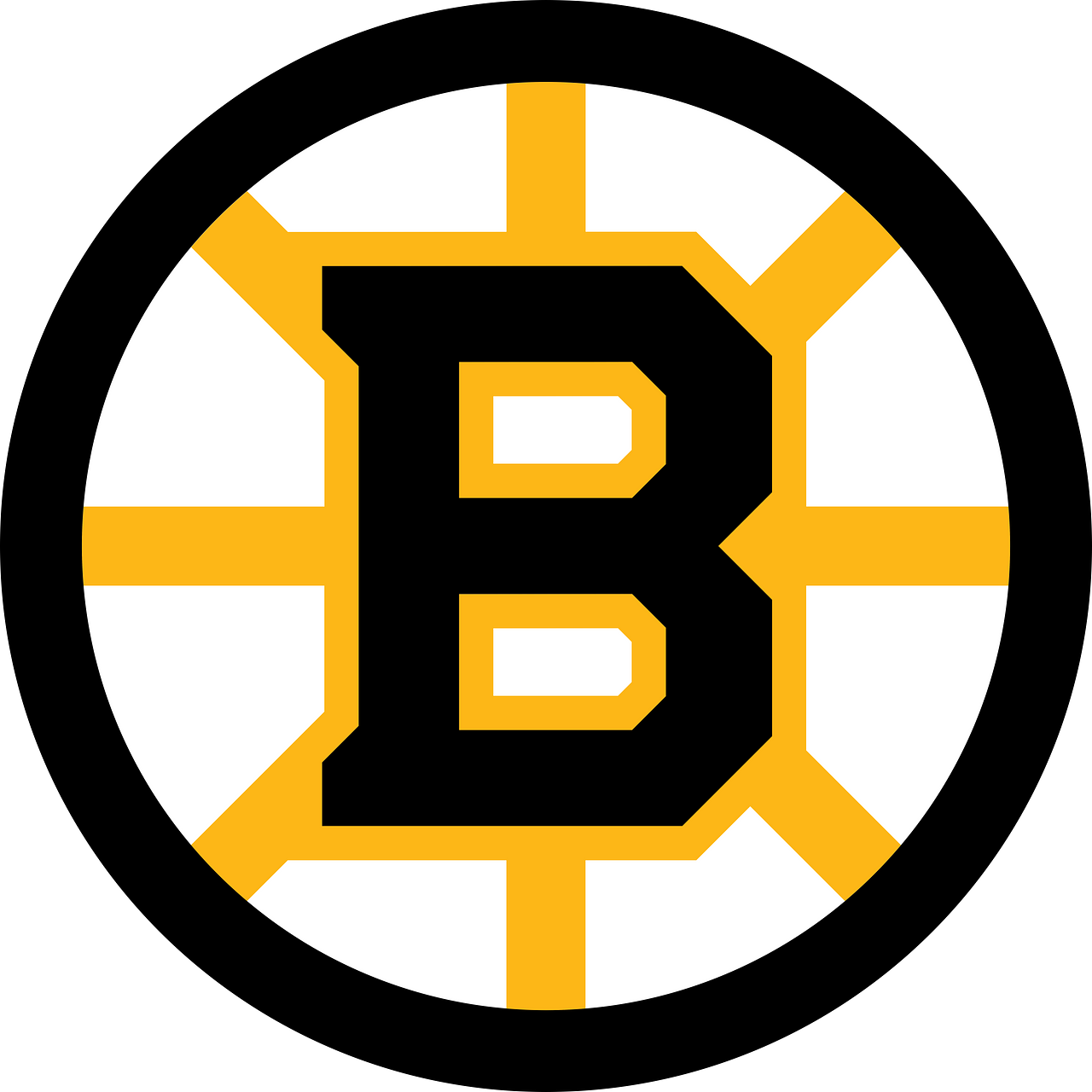 Boston Bruins