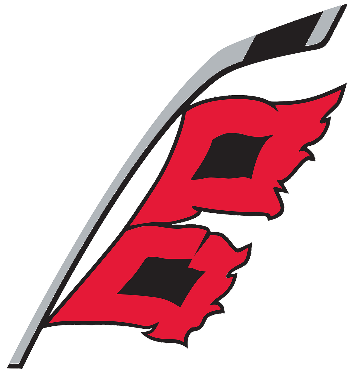 Carolina Hurricanes