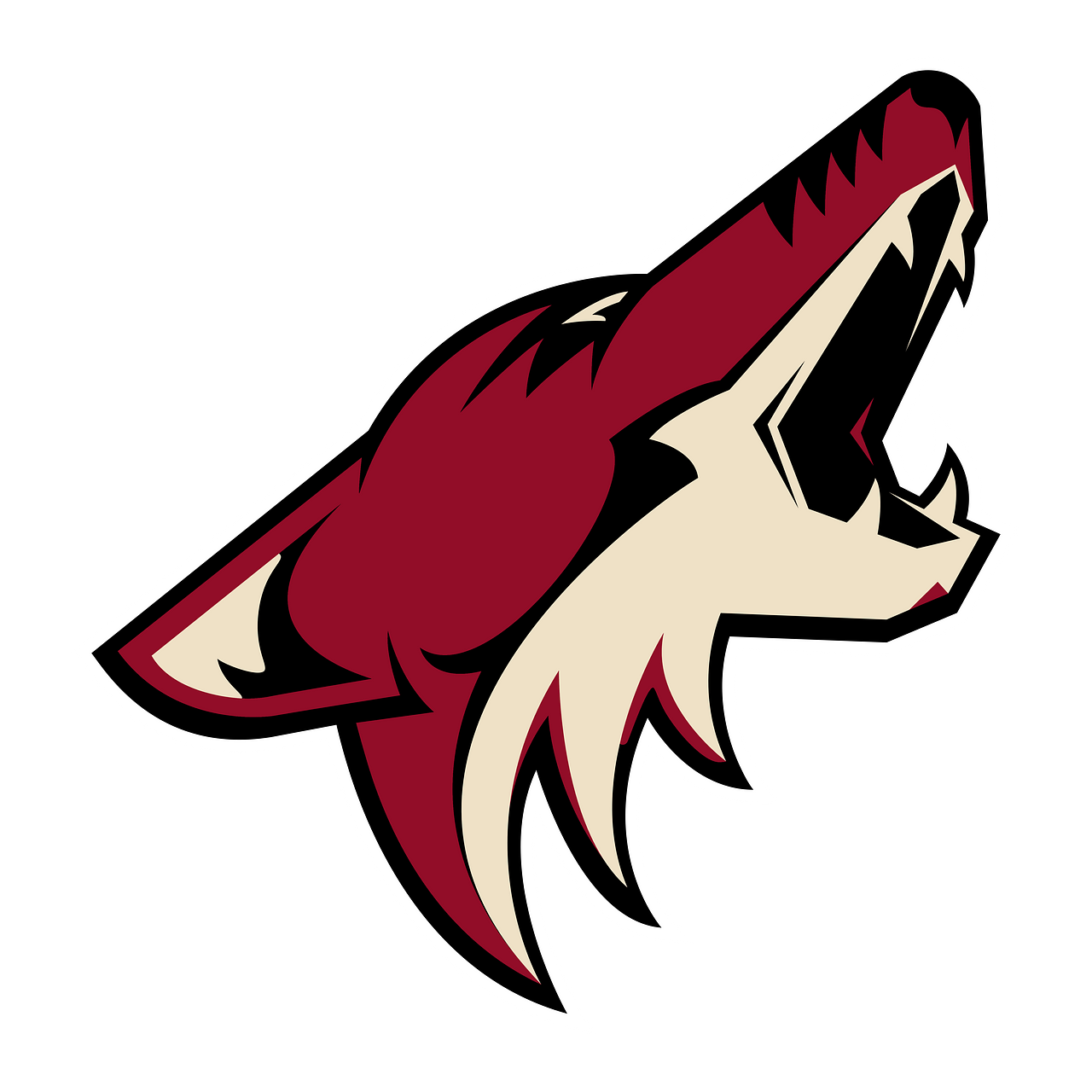 Arizona Coyotes