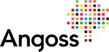 Angoss Software Corporation