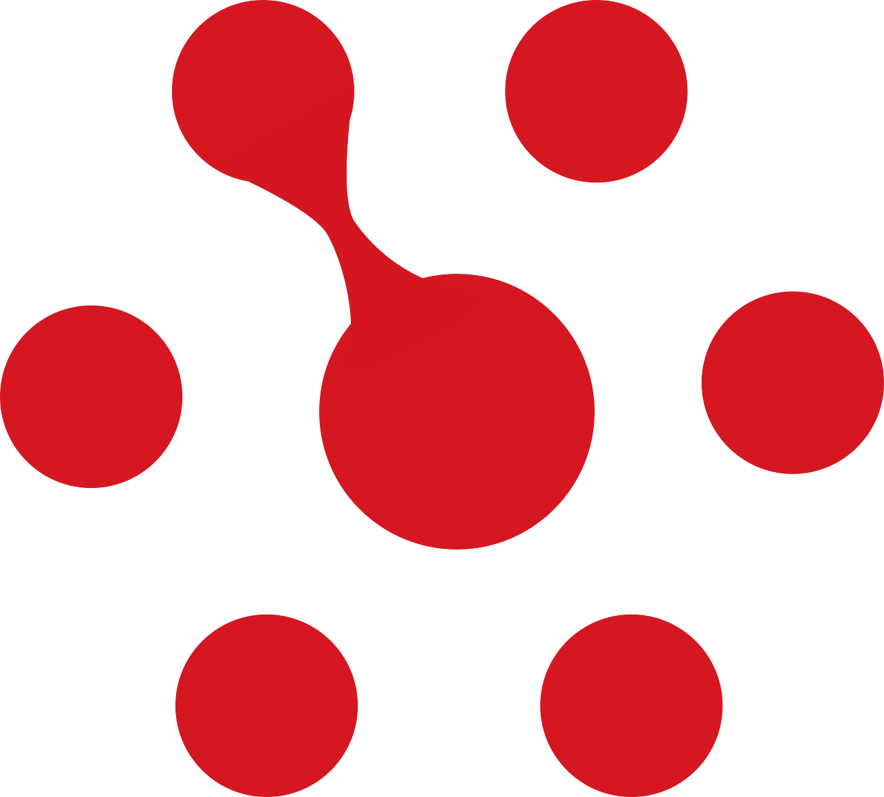 Parallels International GmbH