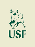 University of South Florida