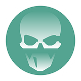 Ghost Recon