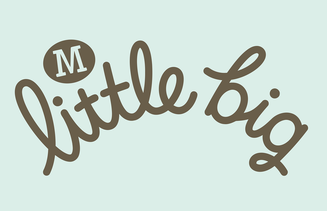 Morrisons Little Big