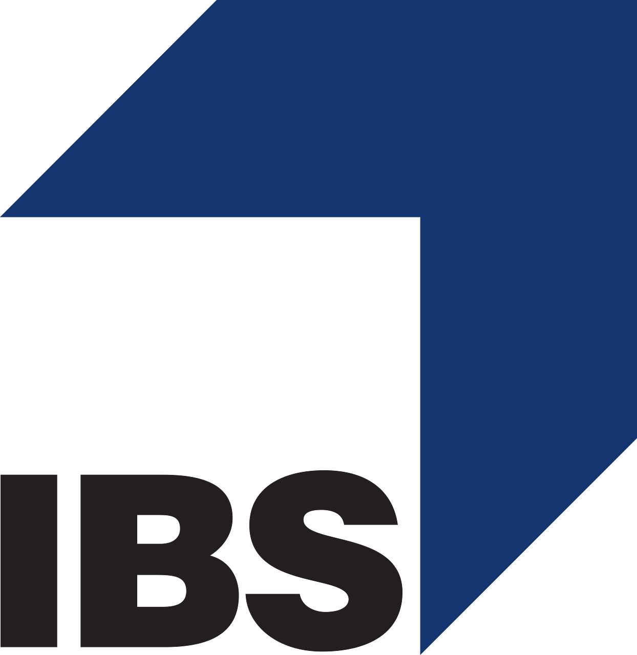 IBS AG