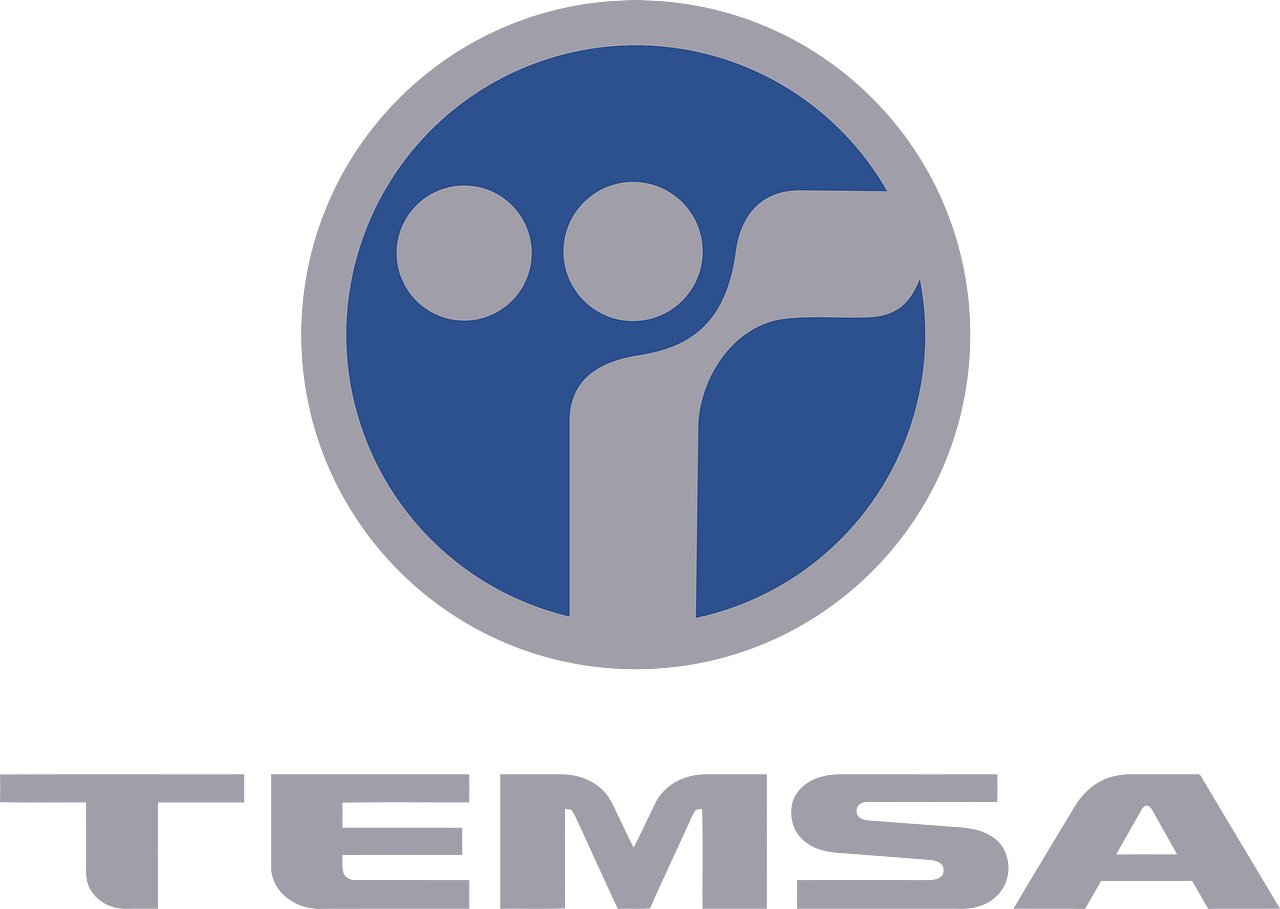 Temsa Global