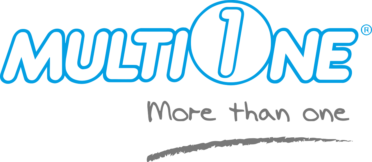 MultiOne