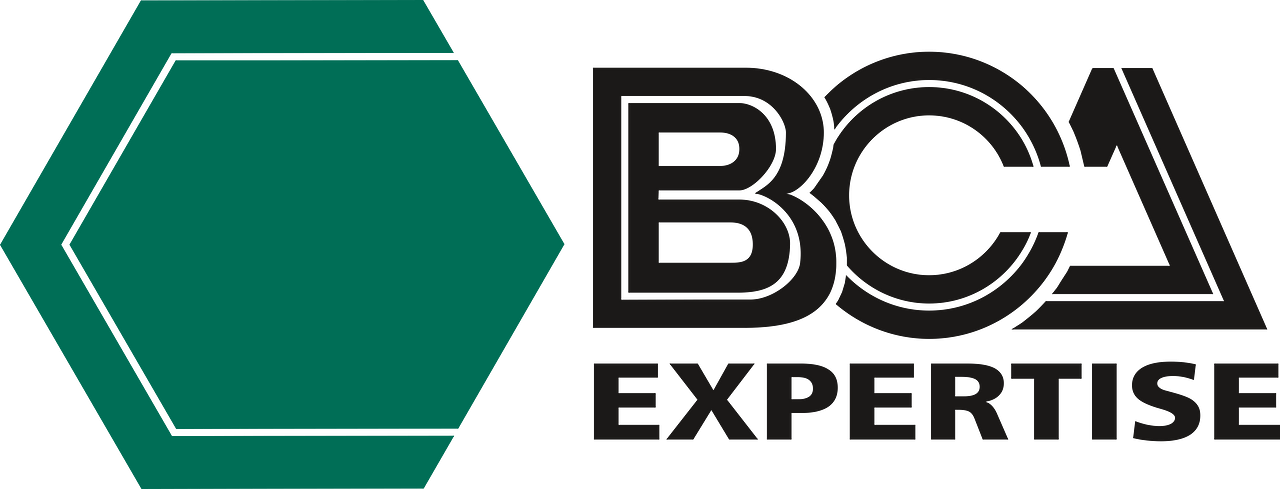 BCA Expertise