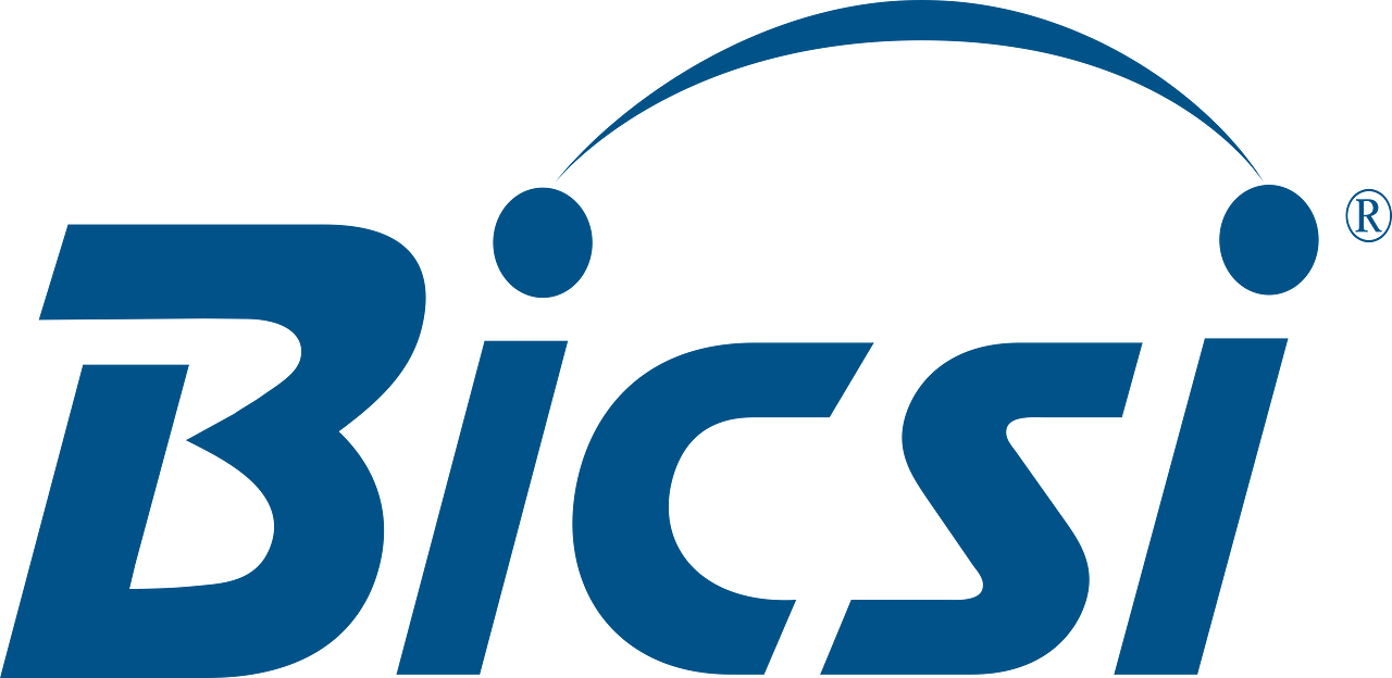Building Industry Consulting Service International