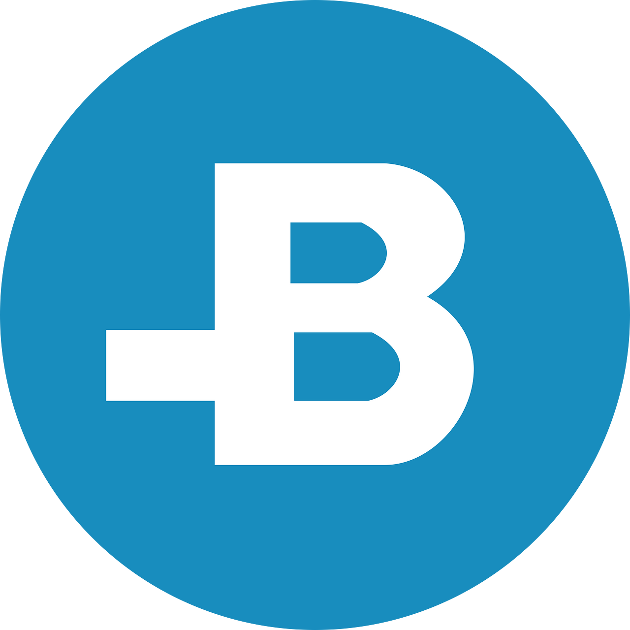 BitBay (BAY)