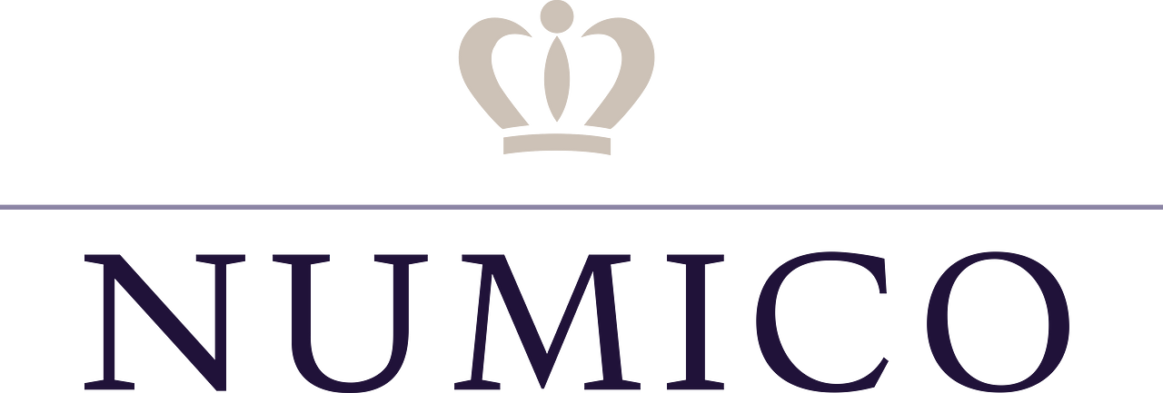 Royal Numico N.V.