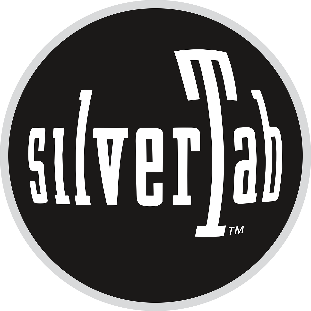 Levi’s Silvertab Jeans
