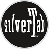 Levi’s Silvertab Jeans