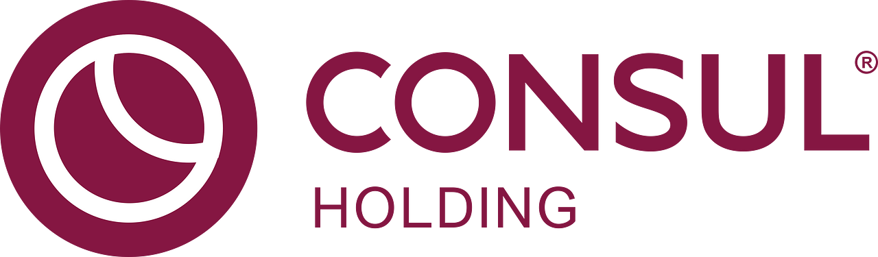 Consul Holding