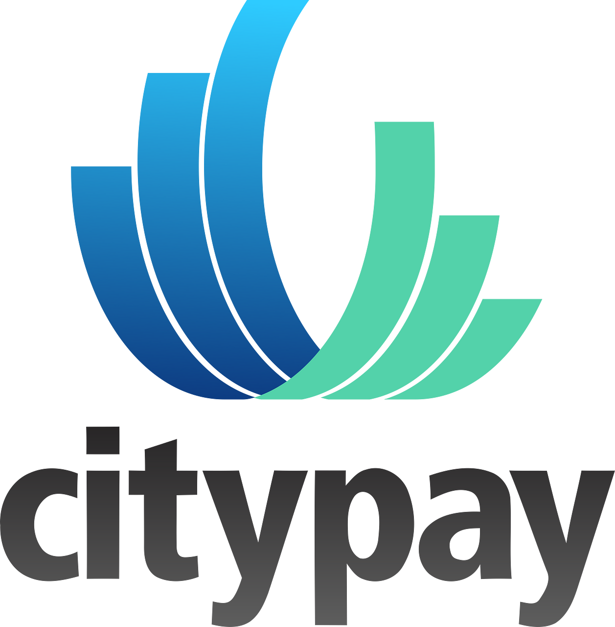 Citypay