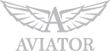 Aviator Watches