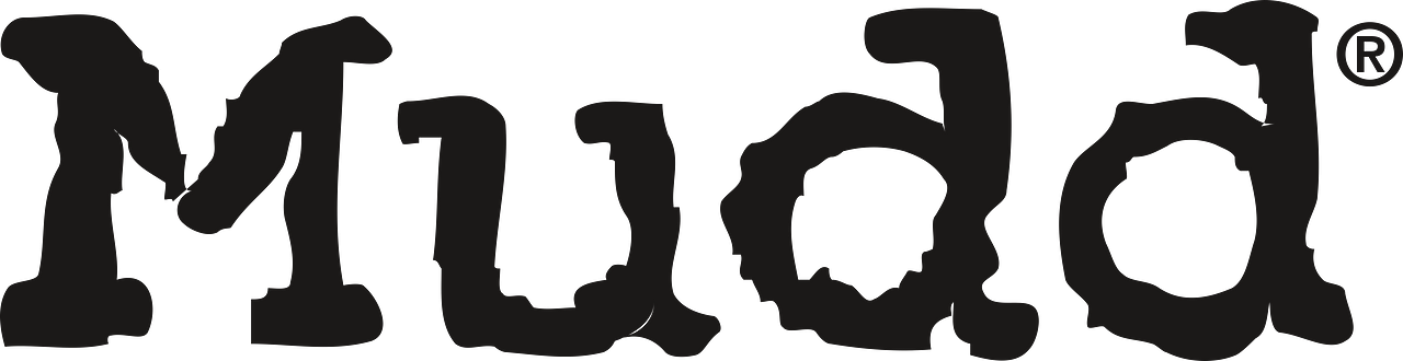 Mudd Jeans