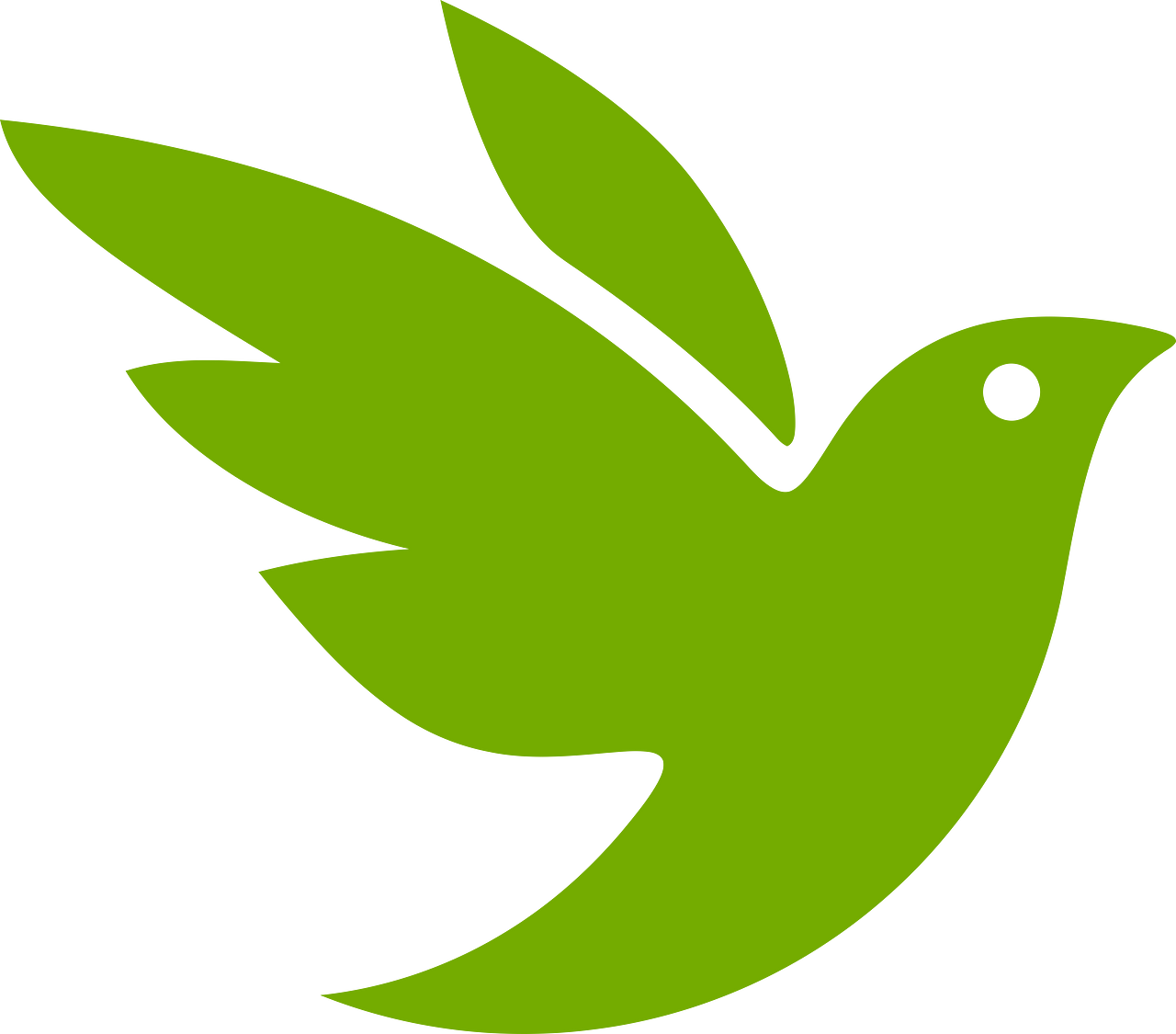 iNaturalist