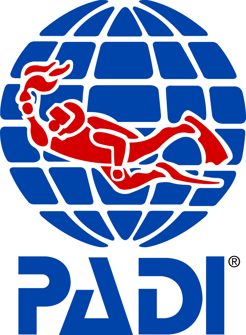 Padi