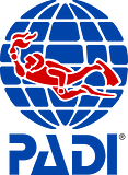 Padi